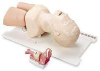 Laerdal Medical Corp 25000033 Manikin Airway Mngmnt Tra ADULT EA