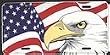 Bald Eagle and US Flag License Plate