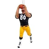 Hines Ward Pittsburgh Steelers 2008 Player Ornament