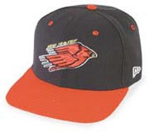 Minor League Baseball Cap - New Jersey Cardinals Home Cap by New Era
