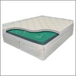 Innomax Luxury Support Evolutions Free Flow Softside Waterbed