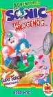 Sonic the Hedgehog - Road Hog