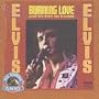 Burning Love & Hits From His Movies Vol. 2