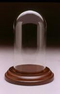 Glass and Walnut Short Mini Dome Display Case for Glass Tear Bottles