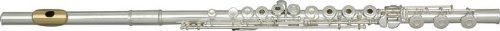 Giardinelli GFL512 Intermediate Flute with Gold Lip Plate