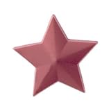 JIBBITZ STAR SHOE CHARM - FEMALE - O/S - ASSORTED