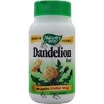 Dandelion Root 100 caps