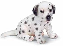Dalmation Puppy Sitting