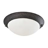 Sea Gull Lighting 1648 799 One Light Ceiling Fan Light Kit, Peppercorn Finish with White Glass 21KPDr0VZhL. SL160 Sea Gull Lighting 1648 799 One Light Ceiling Fan Light Kit, Peppercorn Finish with White Glass