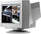NANAO FlexScan T966 55cm(21)型カラーディスプレイ
