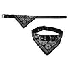 2-TECH Hunde Halsband mit Tuch 34-44,5cm, schwarz