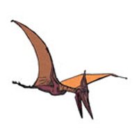 PTERODACTYL Temporary Tattoo 2x2