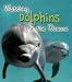 Watching Dolphins in the Ocean (Wild World)