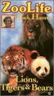Zoo Life W/J.Hanna Lions,Tiger