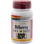 Bilberry Extract (160mg) (One Daily) 30 caps