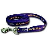 Baltimore Ravens 6' Pet Dog Leash (Medium)
