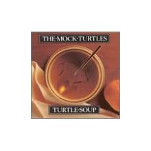 Turtle soup