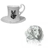 Dachshund, Longhair Cup and Saucer, Porcelain by Rosalinde