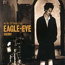 Are You Still Having Fun by  Eagle-Eye Cherry 