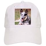 Dogs Australian Cattle - Australian Cattle Dog - Caps