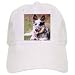 Dogs Australian Cattle - Australian Cattle Dog - Caps
