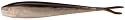 Berkley Gulp! Alive! Minnow Bucket
