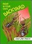 Right in Your Own Backyard: Nature Math (I Love Math)