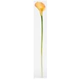 Nearly Natural 2006-GD Calla Lilly Silk Flower (12 Stems)