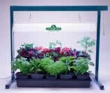 Green Thumb Jump Start 2 Foot 24