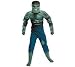 Search : The Incredible Hulk Deluxe Muscle Chest Hulk Child Costume