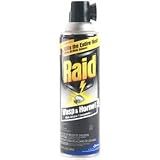 SC Johnson #01353 Raid 14OZ Wasp Killer