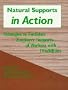 Natural Supports in Action: Strategies to Facilitate Employer Supports of Workers With Disabilities
