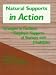 Natural Supports in Action: Strategies to Facilitate Employer Supports of Workers With Disabilities