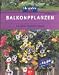 Balkonpflanzen