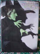 Wicked Witch Silhouette Magnet