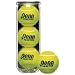 Penn Practice Tennis Balls - Case (PAC)