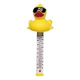Derby Duck Swimming Pool Thermometer 21KWM%2B3BdtL. SL160 Derby Duck Swimming Pool Thermometer