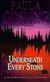 Underneath Every Stone (A Blackwater Bay mystery)