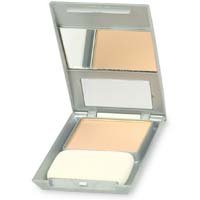 Maybelline Purestay Powder & Foundation SPF 15 .34 oz (9.6 g)