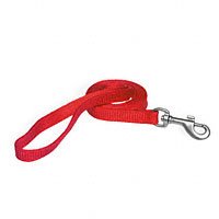Aspen Pet Snag Proof Cat Leash