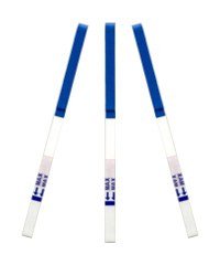 15 hCG Pregnancy Test Strips
