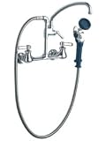 Tools & Hardware : Chicago Faucets 509-GCLCP Wall Mounted Pot Filler with Pre-Rinse Spray Valve