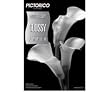 Olympus PICTORICO PHOTO PAP-GLOSSY 8.5X11 20SHTS ( 200811 )