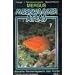 Meerwasser Atlas, Kt, Bd.7, Perciformes (Barschartige): Perciformes (Barschartige), ausgenommen Falter- und Kaiserfische