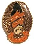 Harley Davidson~ Harley Davidson Button~ Rare Vintage Button!!~ Approx .75 X 1
