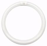 Sylvania 20142 FC12T9/CW/RS Circular T9 Fluorescent Tube Light Bulb