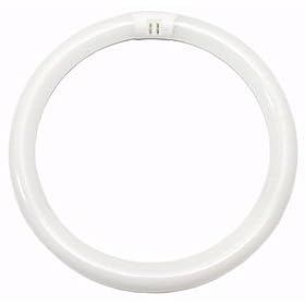 Sylvania 20142 FC12T9 CW RS Circular T9 Fluorescent Tube Light Bulb