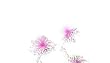 PRINCESS Kids' Ever Afer Infant