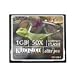 Third Party New : Kingston CF/1GB-S 1 GB High Speed Compactflash Card