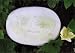 Yash Ash Gourd seed packet